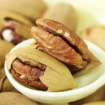 Pecan Nuts Factory - Organic Large Granules Cream Flavor