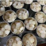 Longan Canned Supplier - Syrup Fresh Food Tin Sweet