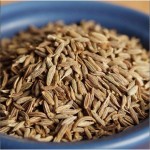 Cumin Seeds Supplier - Private Label Nature Spices