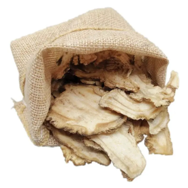 Angelica Root Supplier - Organic Radix Sinensis Single Herb