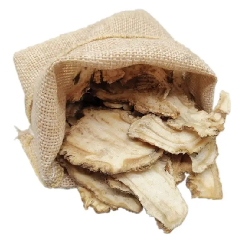 Angelica Root Supplier - Organic Radix Sinensis Single Herb