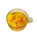 Mandarin Orange Canned Supplier - Fresh Sugar Water Tin