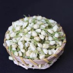 Jasmine Tea Supplier - Natural Dry Buds Petals Wholesale