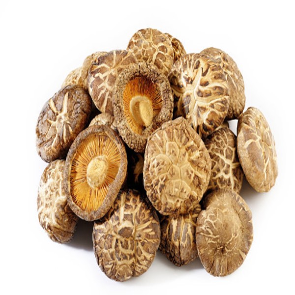 Shiitake Mushroom Supplier - Dehydrated Organic Freeze Dried
