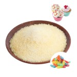 Gelatin Powder Factory - Food Additive Pharma Bakery
