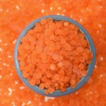 Red Lentils Factory - Split No Impurities Hot Seller
