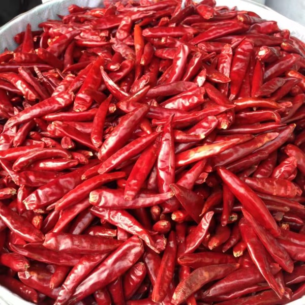 Chili Peppers Supplier - Organic Red Dried China Wholesale