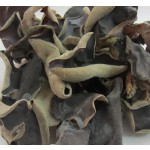 Black Fungus Manufacturer - High Dryness Good Preservation