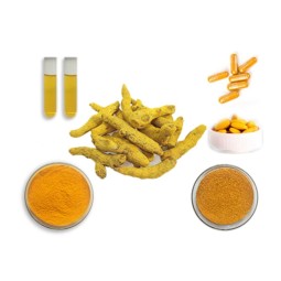 Turmeric Curcumin Supplier - Organic 2% Premium Natural