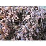 Seaweed Manufacturer - 100% Natural Sargassum From Supplier