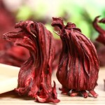 Hibiscus Tea Manufacturer - Organic Flavor Roselle Dry
