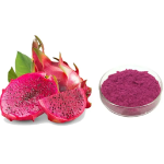 Dragon Fruit Powder Factory - Red Pitaya Freeze-dried