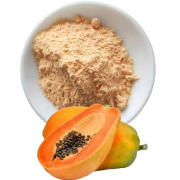 Papaya Powder Supplier - Juice Enzyme High Quality