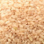 Brown Rice Supplier - Seasonal Organic No Undersized