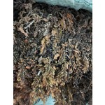 Seaweed Manufacturer - 100% Natural Sargassum From Supplier