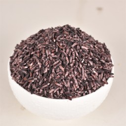 Glutinous Rice Supplier - Organic Black Rice China