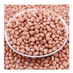 Peanuts Manufacturer - Raw Natural Blanched Kernel