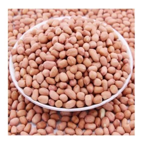 Peanuts Manufacturer - Raw Natural Blanched Kernel