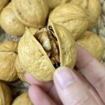 Walnut Kernels Supplier - Highest Grade Healthy Dried