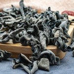 Dried Fungi Supplier - Air Dried Ultra-high Nutritional