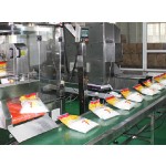 MSG Powder Manufacturer - Food Grade 99% Purity Bulk