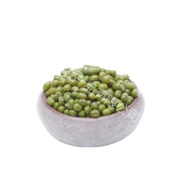 Green Beans Supplier - Fresh High Quality Plump