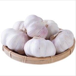 Garlic Manufacturer - Mixed Spices Fresh Dry Economical