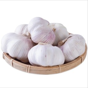 Garlic Manufacturer - Mixed Spices Fresh Dry Economical