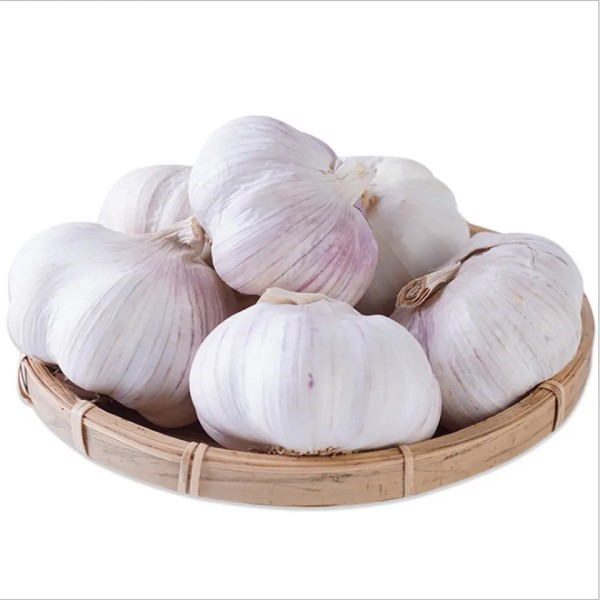 Garlic Manufacturer - Mixed Spices Fresh Dry Economical