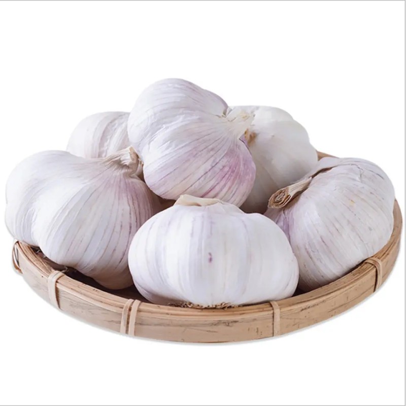 Garlic Manufacturer - Mixed Spices Fresh Dry Economical