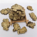 Chuanxiong Herb Factory - High-quality Chinese Herb Complete