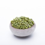 Green Beans Manufacturer - Fresh High Quality Plump