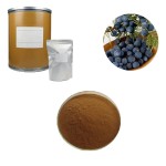 Juniper Extract Manufacturer - Communis Powder Plant
