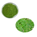 Moringa Leaf Extract Supplier - Green Powder Factory