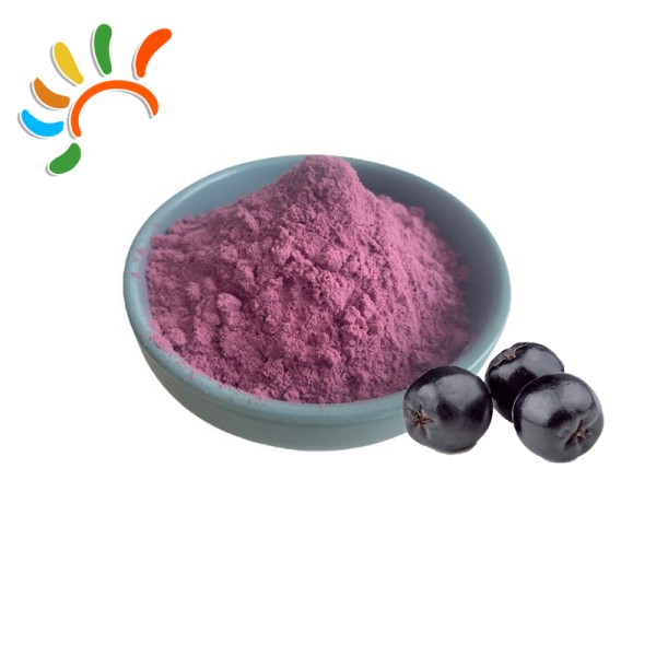 Aronia Berry Powder Factory - Superfood Antioxidant Rich