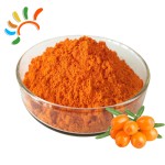 Sea Buckthorn Extract Factory - Natural Orange Fruit Powder