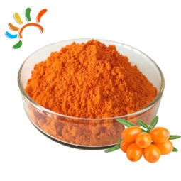 Sea Buckthorn Extract Factory - Natural Orange Fruit Powder