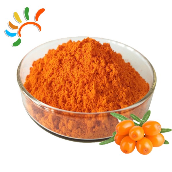 Sea Buckthorn Extract Factory - Natural Orange Fruit Powder