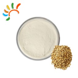 Malt Concentrate Powder Factory - Natural Brewing Ingredient