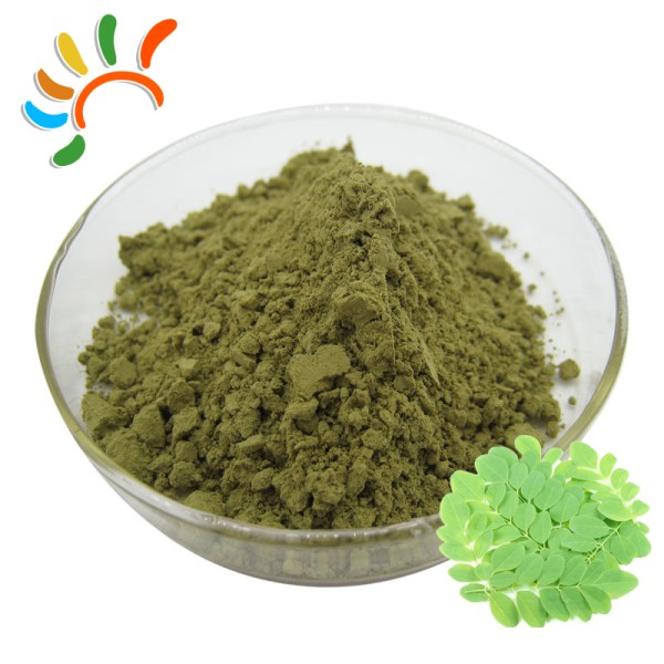 Moringa Leaf Powder Supplier - Superfood Green Powder