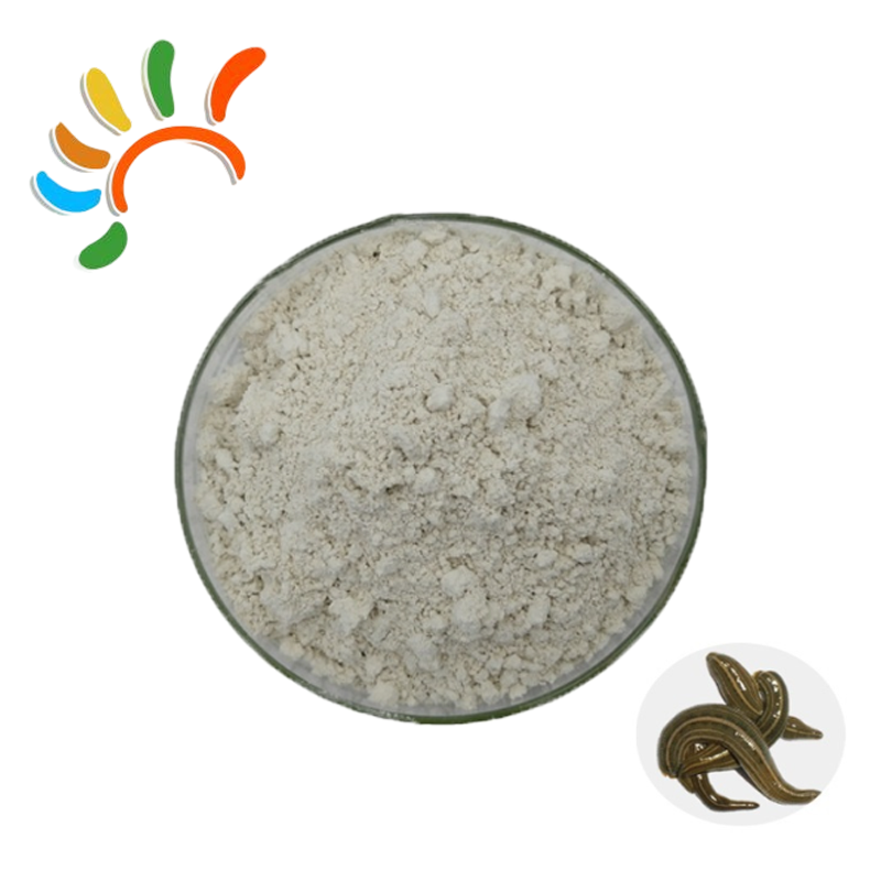 Hirudin Extract Manufacturer - 1200 ATU Leech Powder