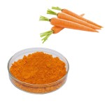 Beta Carotene Powder Supplier - Water Soluble Orange Powder
