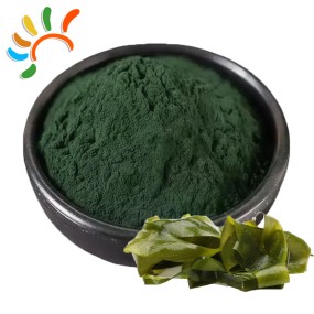 Brown Seaweed Powder Factory - Marine Algae Mineral Rich