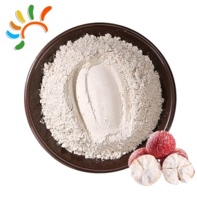 Lotus Seed Powder Supplier - Pure Gluten Free Food