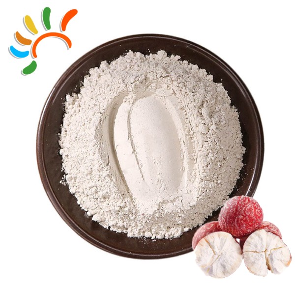 Lotus Seed Powder Supplier - Pure Gluten Free Food