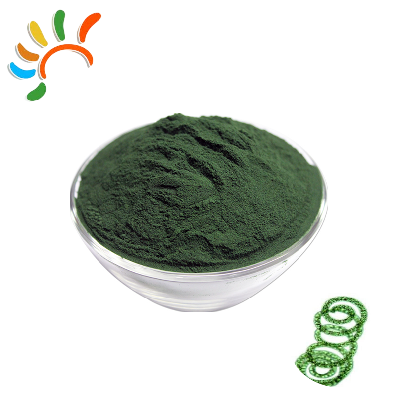 Spirulina Powder Manufacturer - Pure Plant Extract Premium