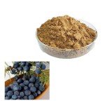 Juniper Extract Manufacturer - Communis Powder Plant