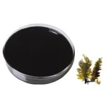 Kelp Extract Manufacturer - Natural Seaweed Food Health