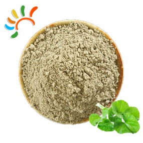 Centella Asiatica Powder Supplier - Gotu Kola Herbal Extract