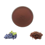 Grape Seed Extract Supplier - Premium Plant Extract Bulk